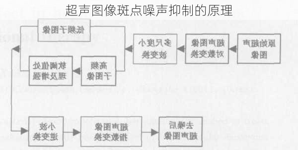 超声图像斑点噪声抑制的原理