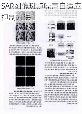 SAR图像斑点噪声自适应抑制方法