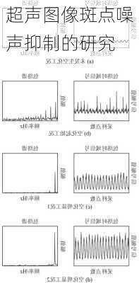 超声图像斑点噪声抑制的研究