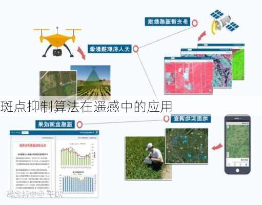 斑点抑制算法在遥感中的应用