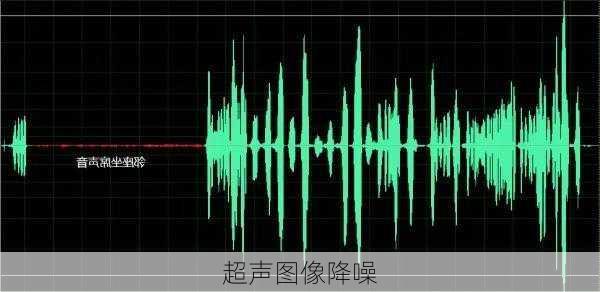 超声图像降噪