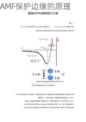 AMF保护边缘的原理