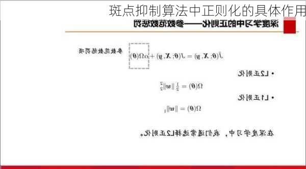 斑点抑制算法中正则化的具体作用