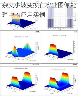 杂交小波变换在农业图像处理中的应用实例
