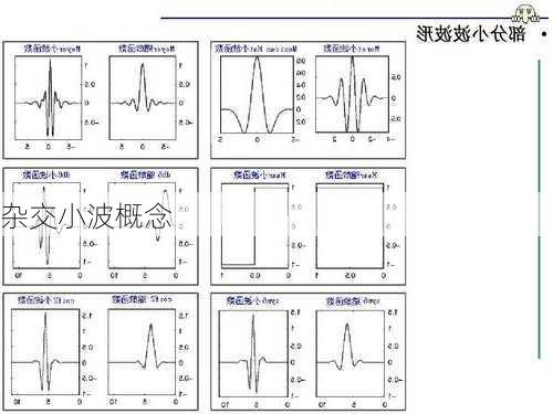 杂交小波概念