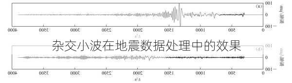 杂交小波在地震数据处理中的效果