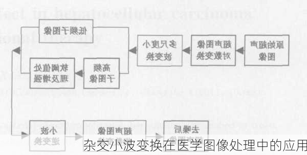 杂交小波变换在医学图像处理中的应用
