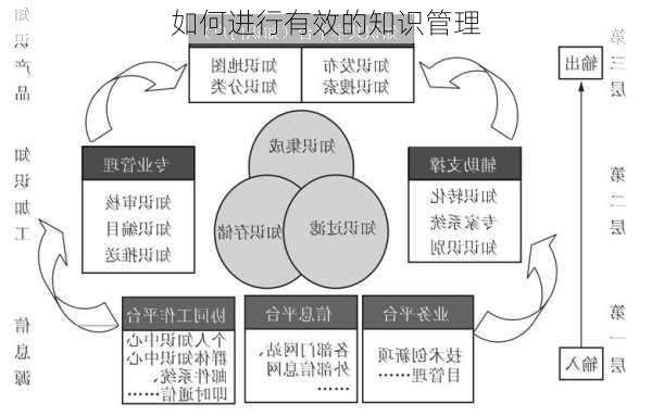 如何进行有效的知识管理