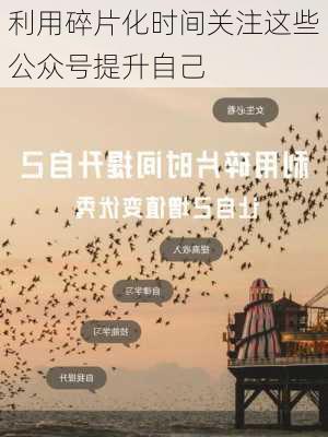 利用碎片化时间关注这些公众号提升自己