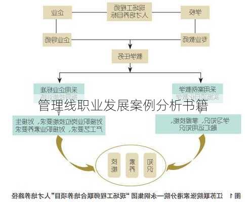管理线职业发展案例分析书籍
