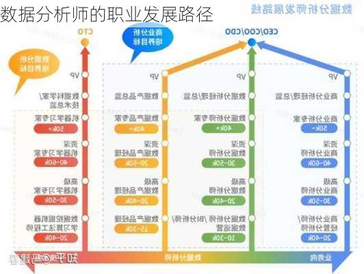 数据分析师的职业发展路径
