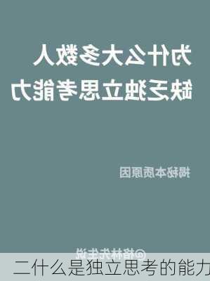 二什么是独立思考的能力