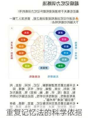 重复记忆法的科学依据