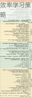 效率学习策略