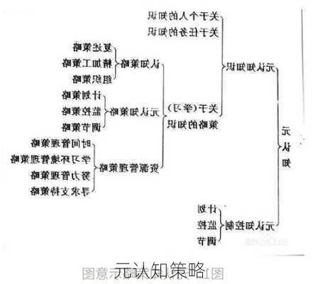 元认知策略