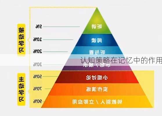 认知策略在记忆中的作用