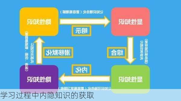 学习过程中内隐知识的获取