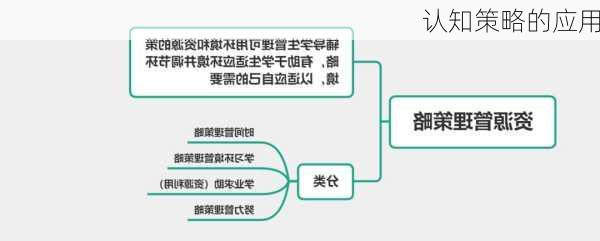 认知策略的应用