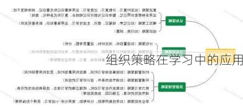 组织策略在学习中的应用