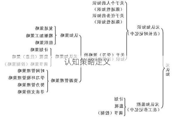 认知策略定义