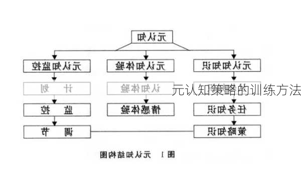 元认知策略的训练方法