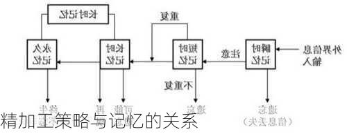 精加工策略与记忆的关系