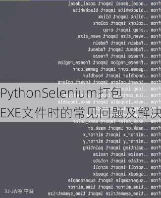 PythonSelenium打包EXE文件时的常见问题及解决方法