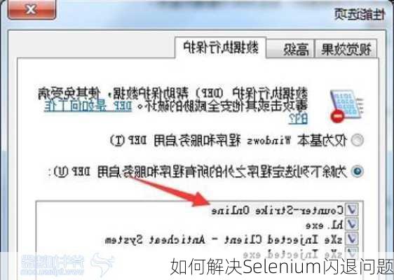 如何解决Selenium闪退问题