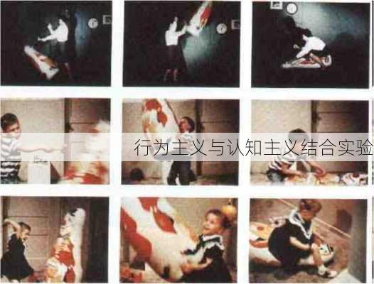 行为主义与认知主义结合实验