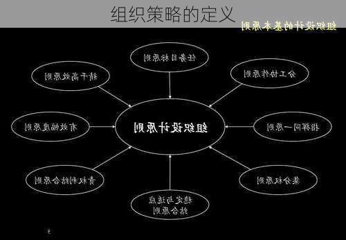 组织策略的定义