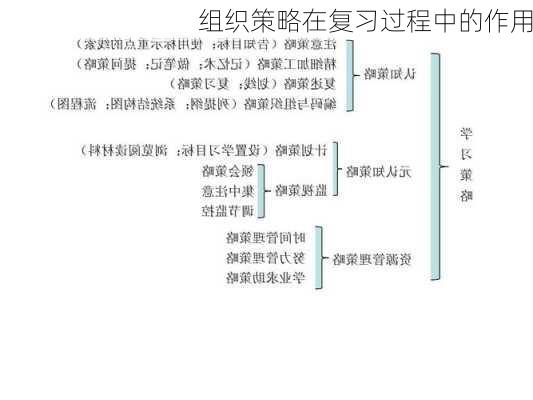 组织策略在复习过程中的作用