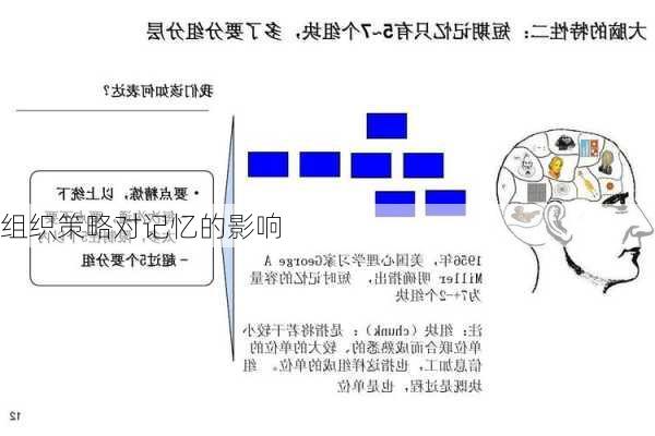 组织策略对记忆的影响