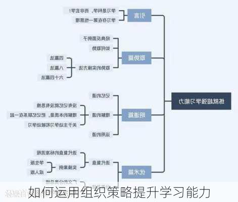 如何运用组织策略提升学习能力