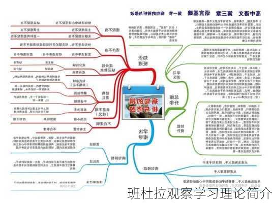 班杜拉观察学习理论简介