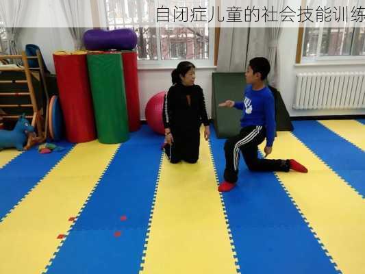 自闭症儿童的社会技能训练