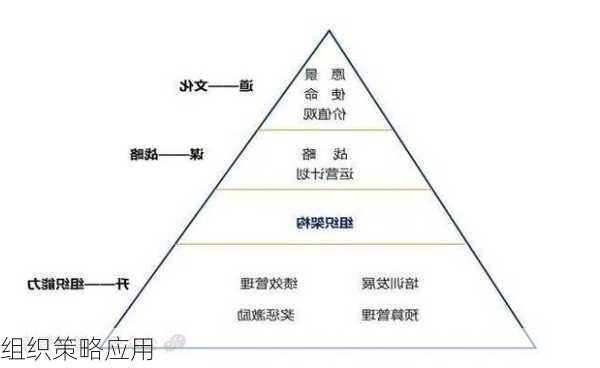 组织策略应用