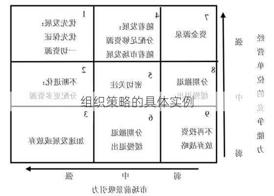组织策略的具体实例