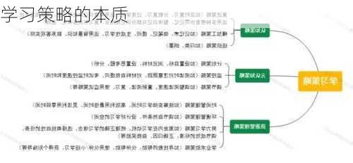 学习策略的本质