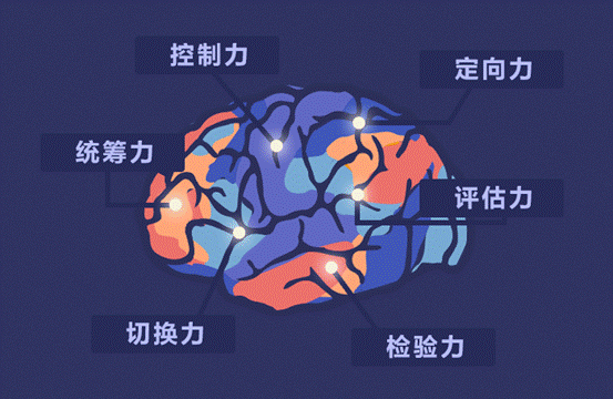 知识传播能力的重要性