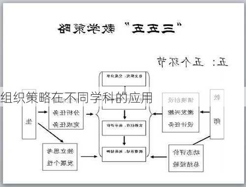 组织策略在不同学科的应用
