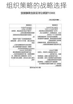 组织策略的战略选择