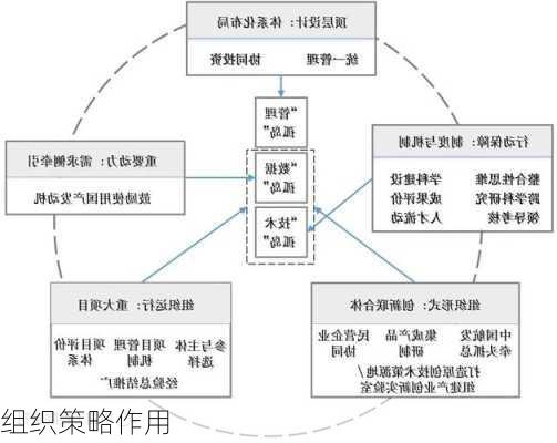 组织策略作用