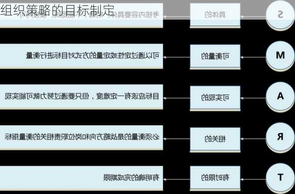 组织策略的目标制定