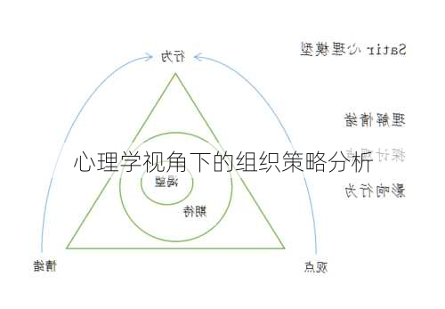 心理学视角下的组织策略分析