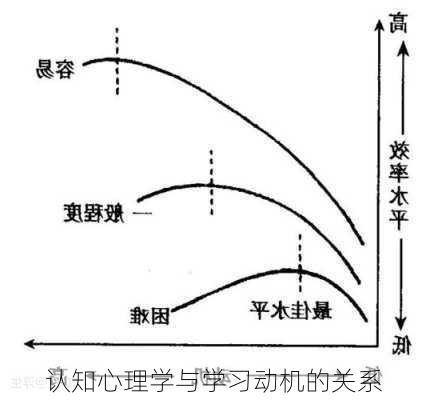 认知心理学与学习动机的关系