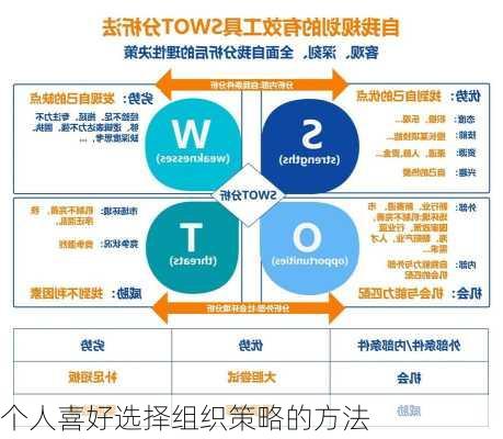 个人喜好选择组织策略的方法
