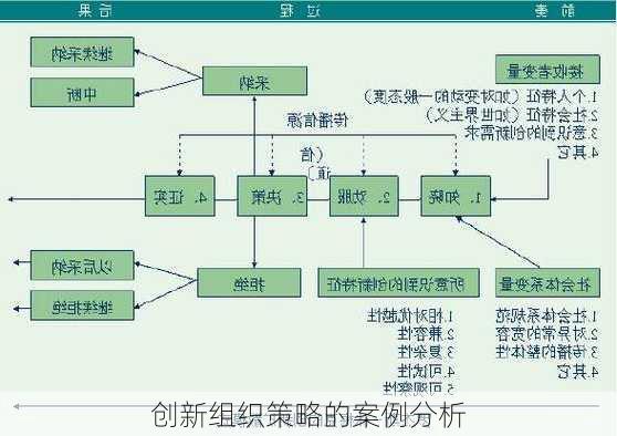 创新组织策略的案例分析