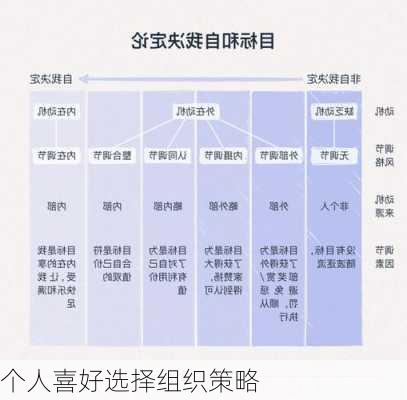个人喜好选择组织策略