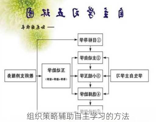 组织策略辅助自主学习的方法
