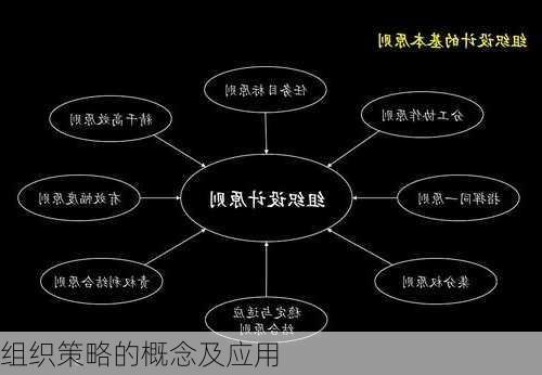 组织策略的概念及应用